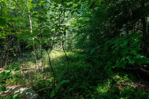00 Governor Wentworth Highway Moultonborough NH 03254
