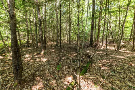 00 Governor Wentworth Highway Moultonborough NH 03254