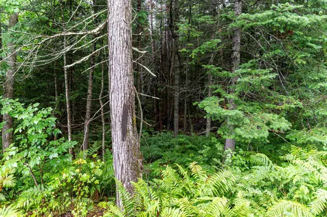 00 Clarks Landing Road Moultonborough NH 03254