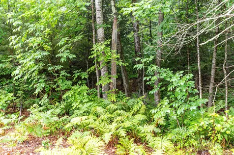 00 Clarks Landing Road Moultonborough NH 03254
