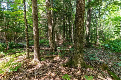 00 Clarks Landing Road Moultonborough NH 03254