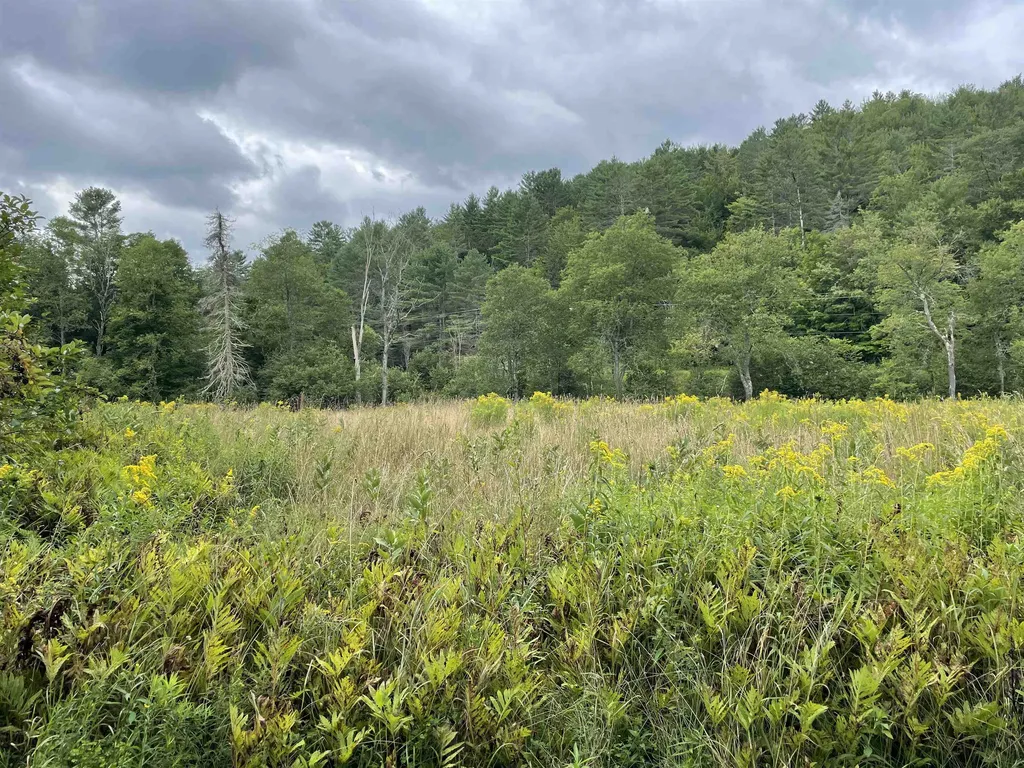 3013 North Wolcott Road Wolcott VT 05680