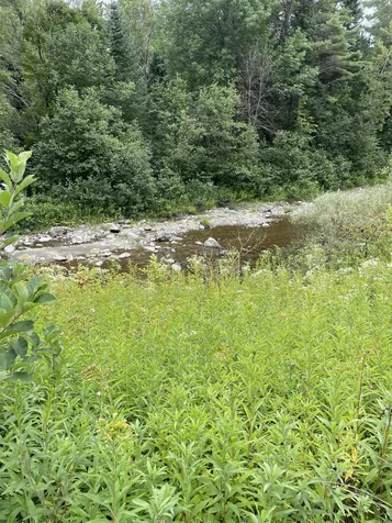 3013 North Wolcott Road Wolcott VT 05680