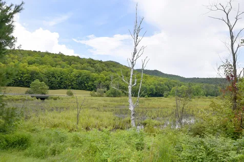 191 Nault Road Barton VT 05822