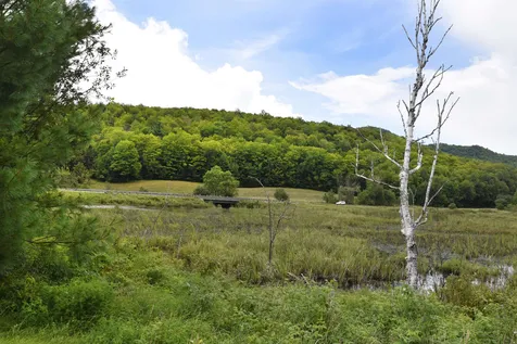 191 Nault Road Barton VT 05822