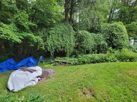 343 Old Lakeshore Road Gilford NH 03249