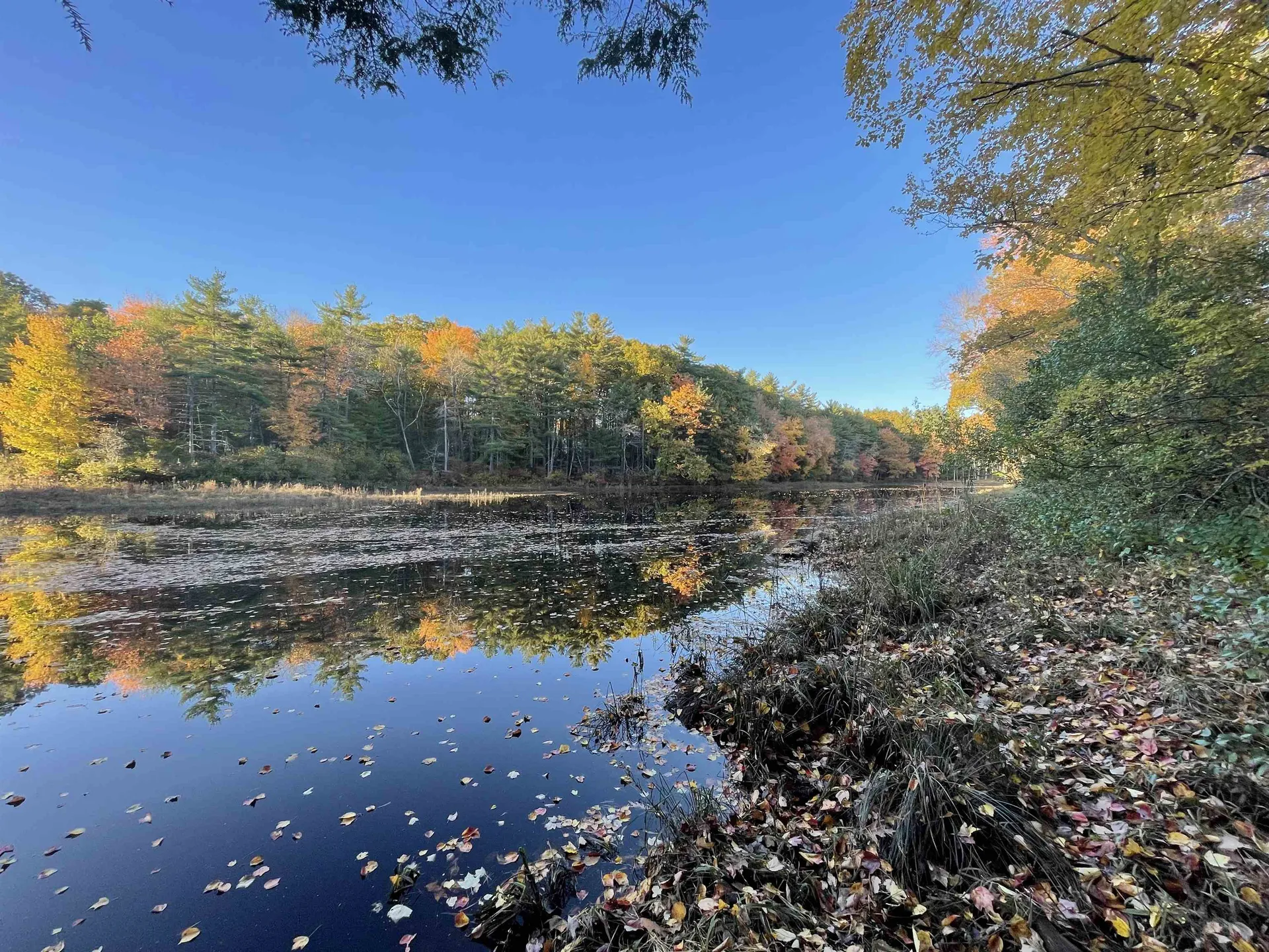 106 Mill Road North Hampton NH 03862
