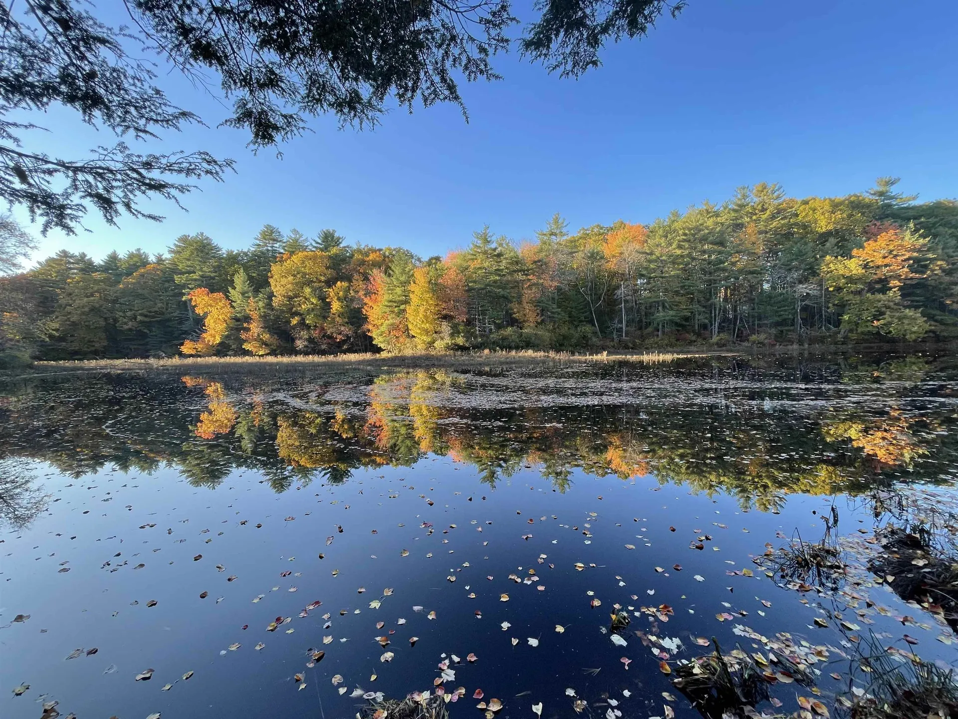 106 Mill Road North Hampton NH 03862