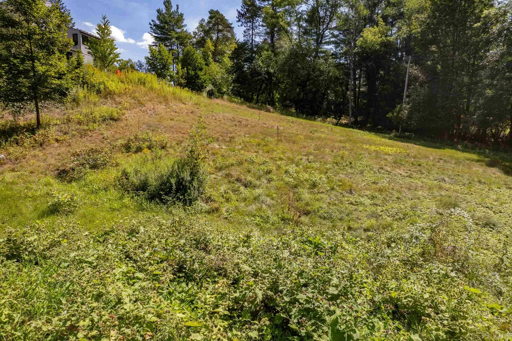 4 1/2 Ledyard Lane Hanover NH 03755