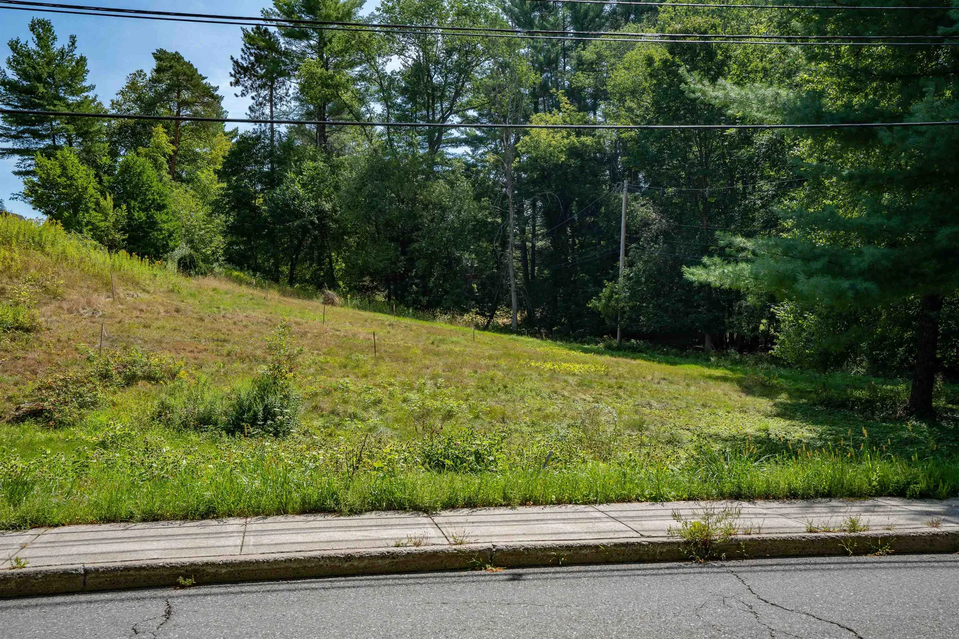 4 1/2 Ledyard Lane Hanover NH 03755