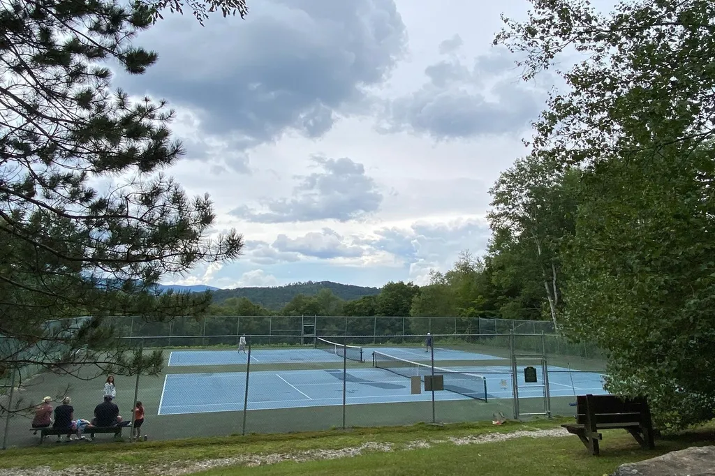 223 E Falcon Loop Rochester VT 05767