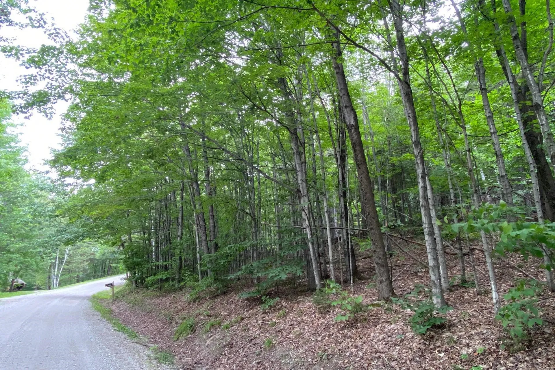223 E Falcon Loop Rochester VT 05767