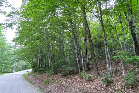 223 E Falcon Loop Rochester VT 05767
