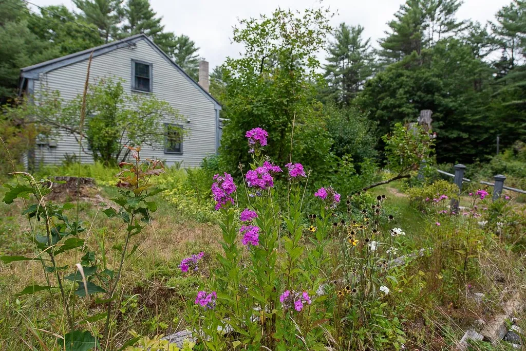 176 Waukeena Lake Road Danbury NH 03230