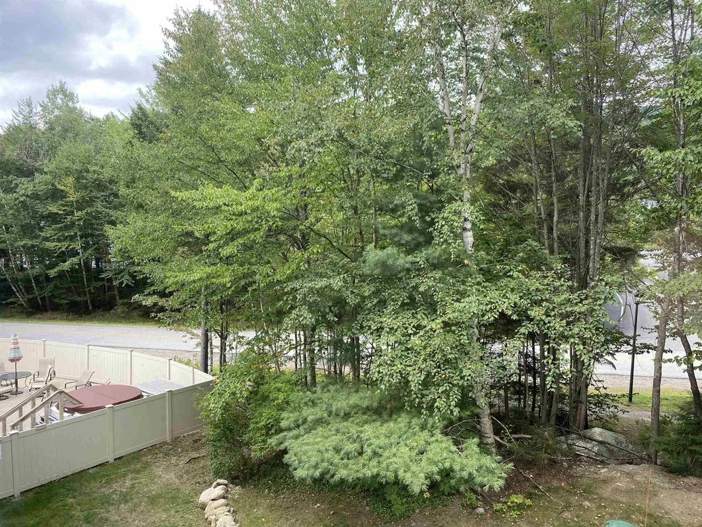 23 Black Bear Road Waterville Valley NH 03215