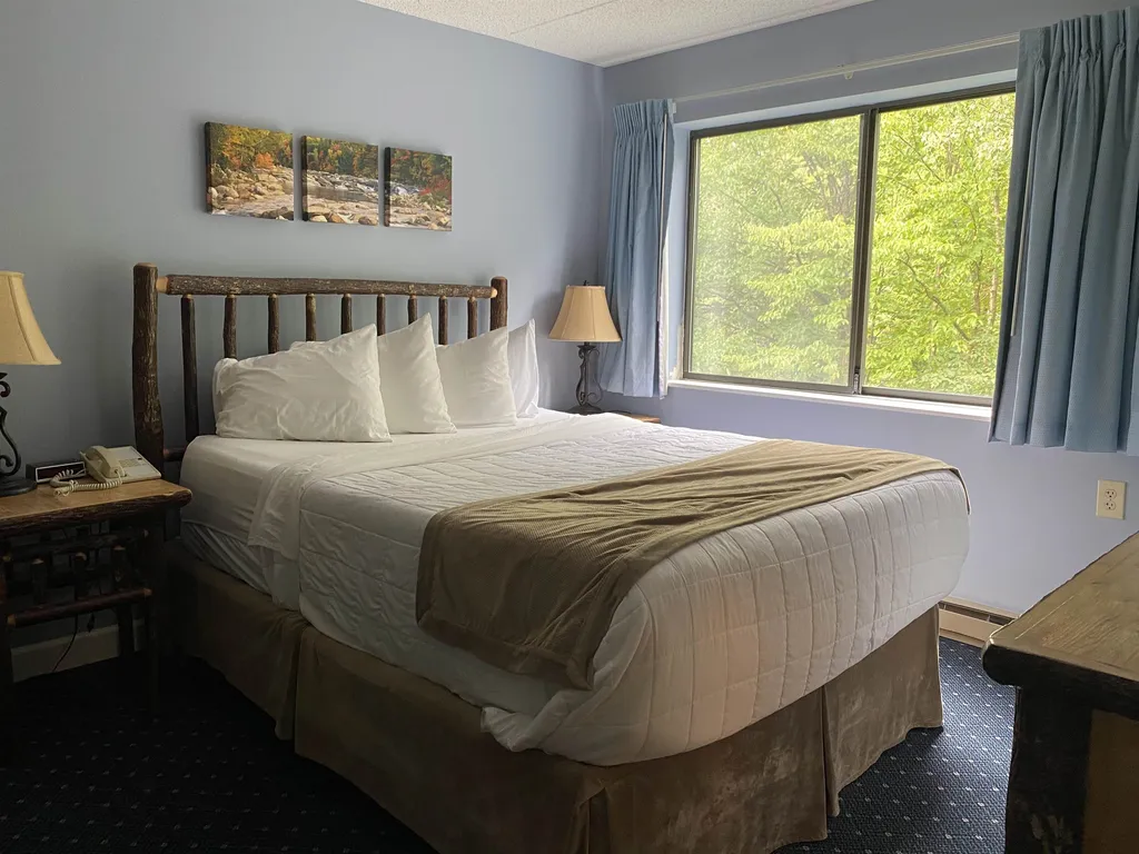 23 Black Bear Road Waterville Valley NH 03215