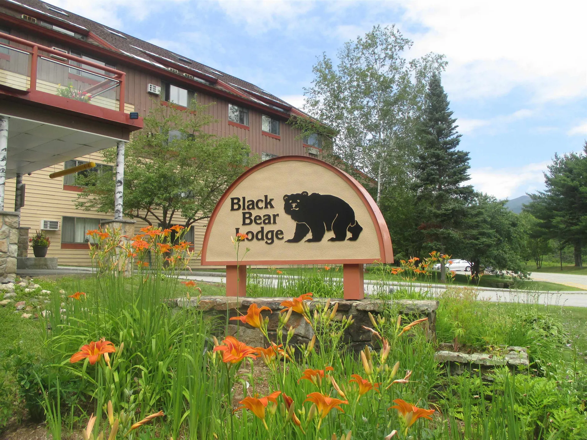 23 Black Bear Road Waterville Valley NH 03215