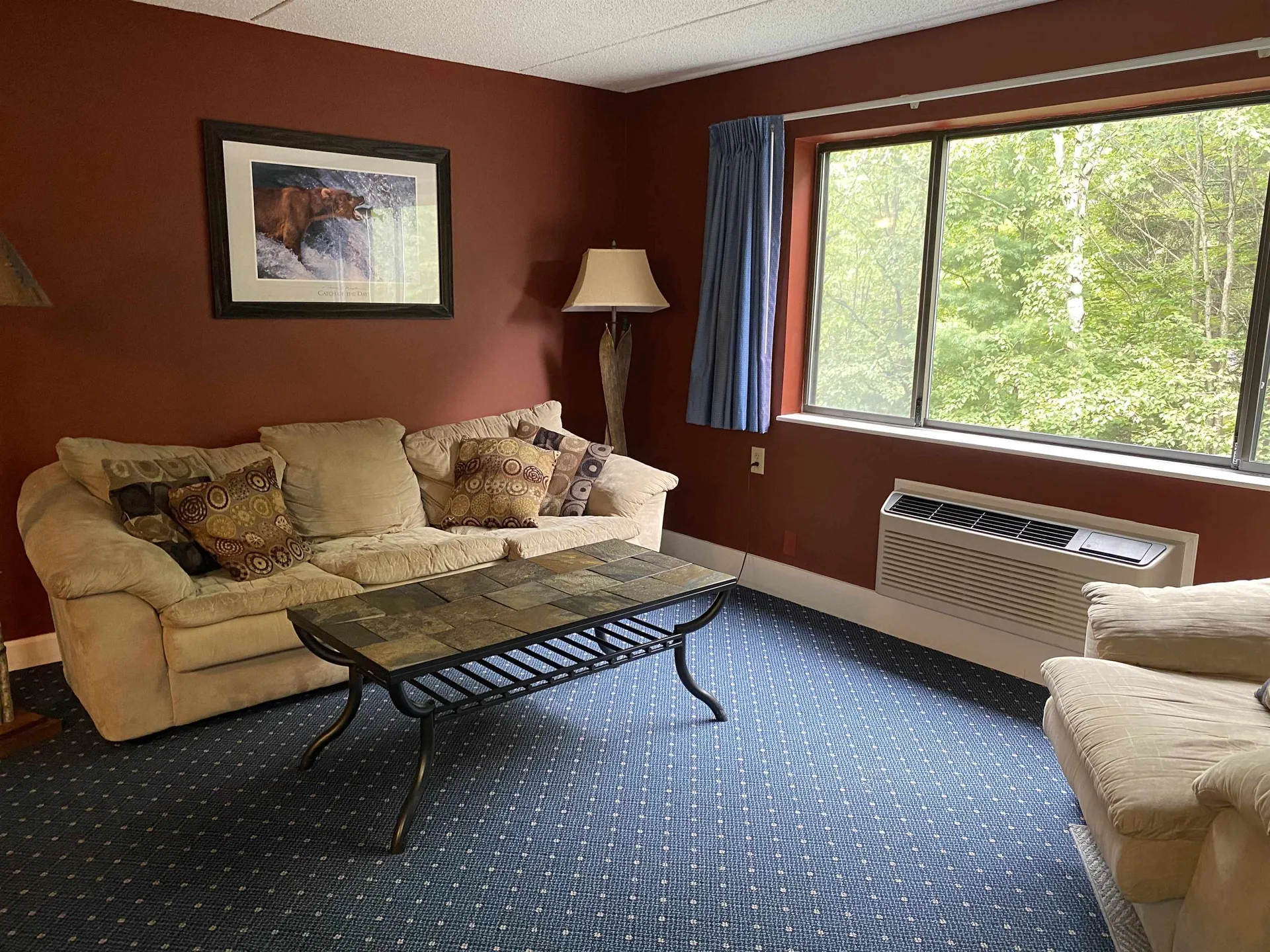 23 Black Bear Road Waterville Valley NH 03215