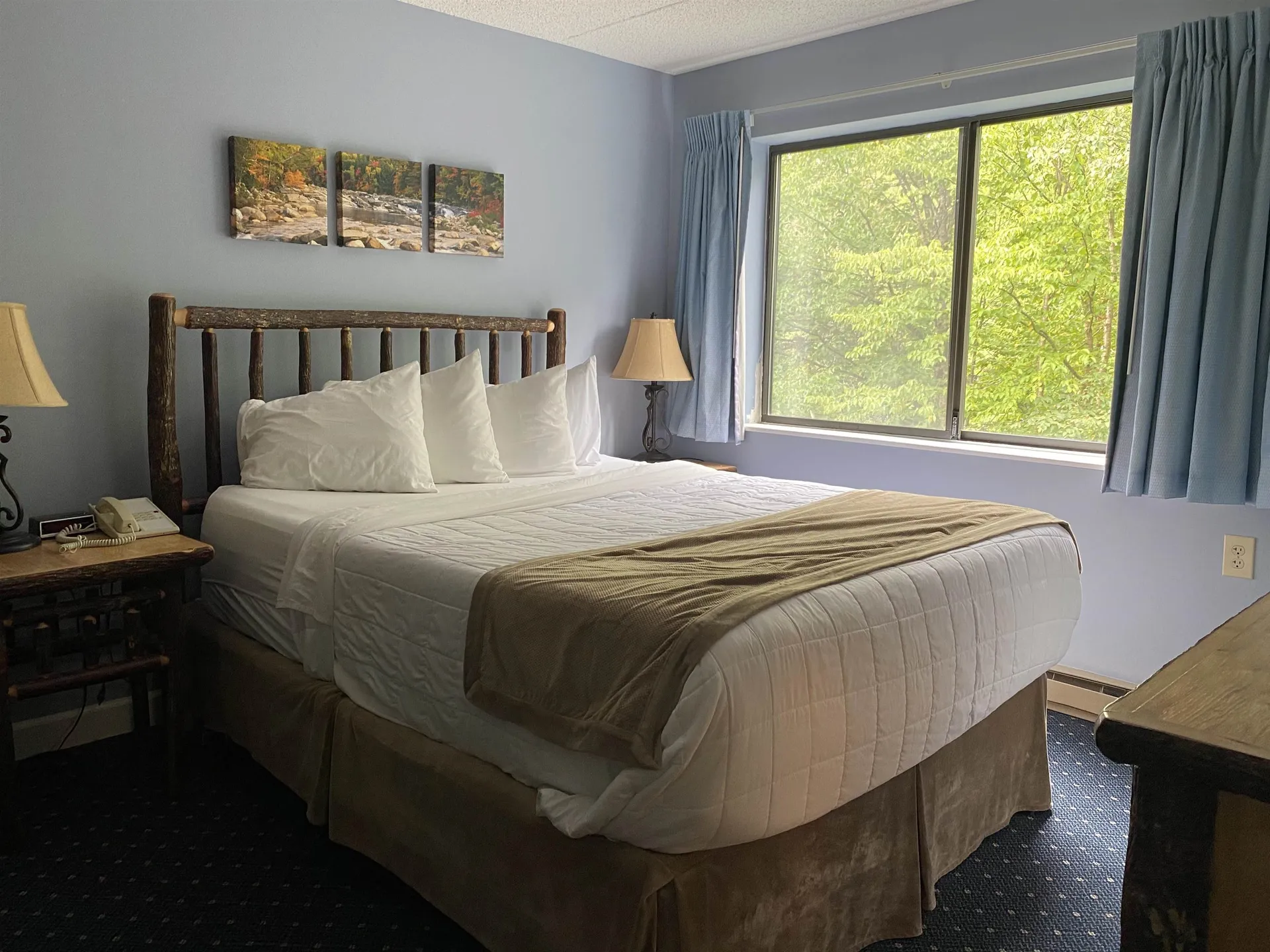 23 Black Bear Road Waterville Valley NH 03215