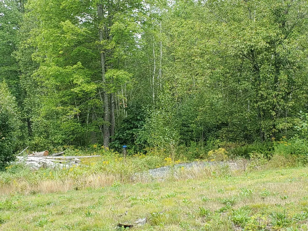 410 Slab City Road Grafton NH 03240