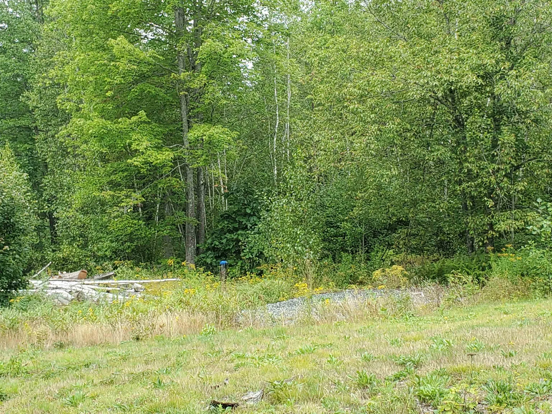 410 Slab City Road Grafton NH 03240