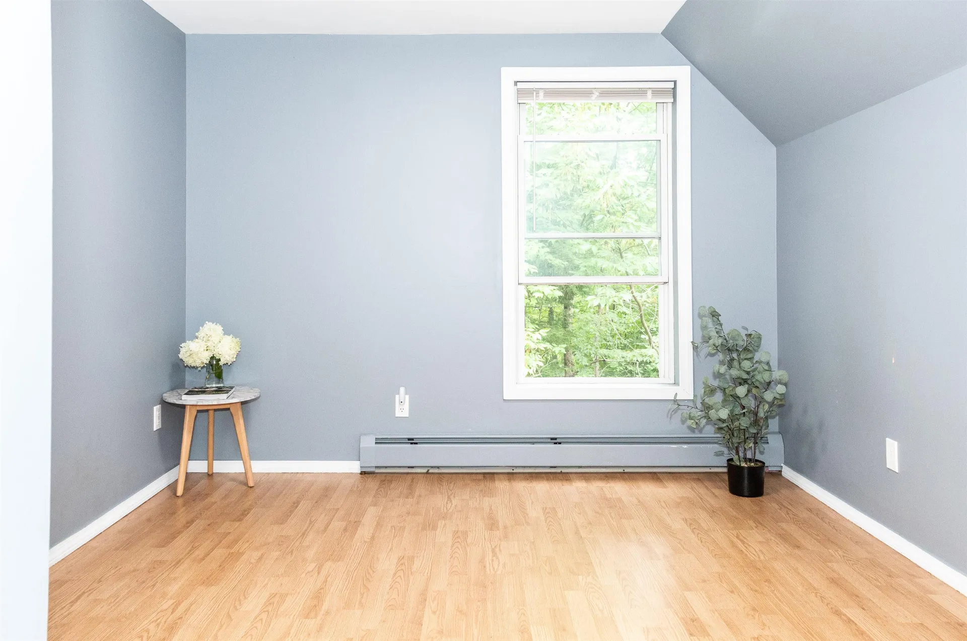 18 Hickory Way Strafford NH 03884