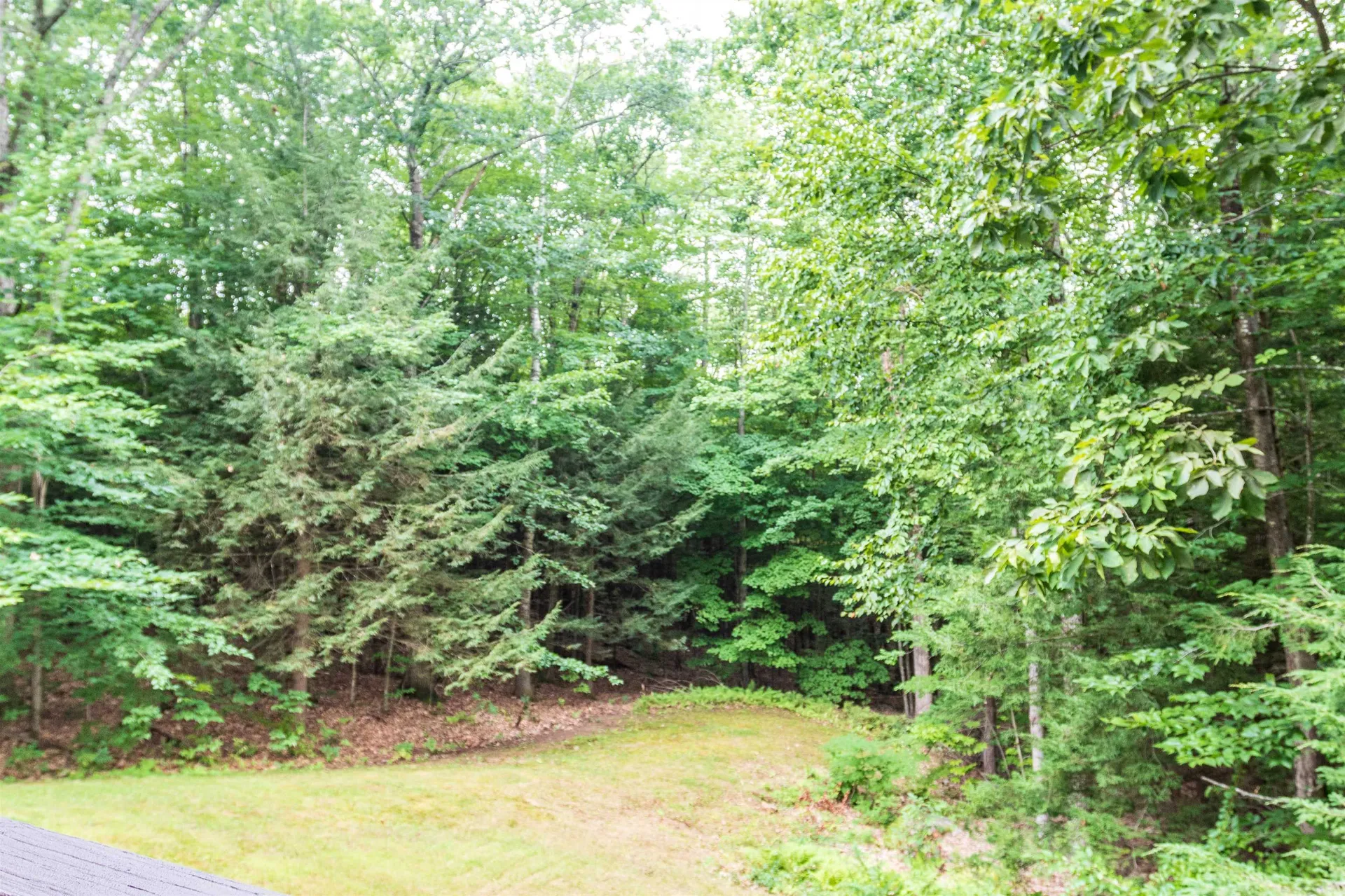 18 Hickory Way Strafford NH 03884