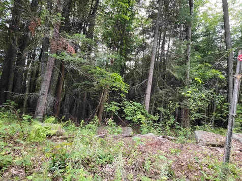 526 Blaney Road Bethlehem NH 03574