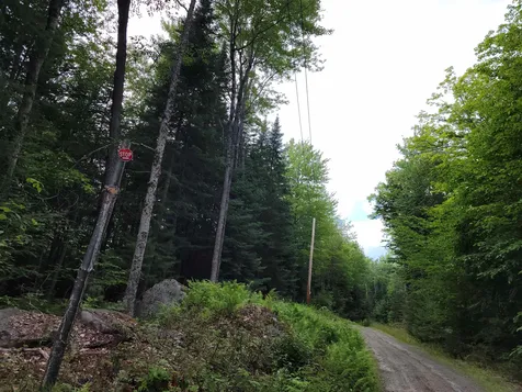 526 Blaney Road Bethlehem NH 03574