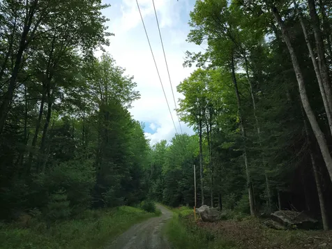 526 Blaney Road Bethlehem NH 03574