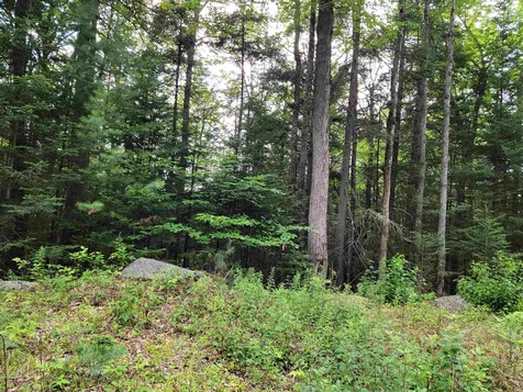 526 Blaney Road Bethlehem NH 03574