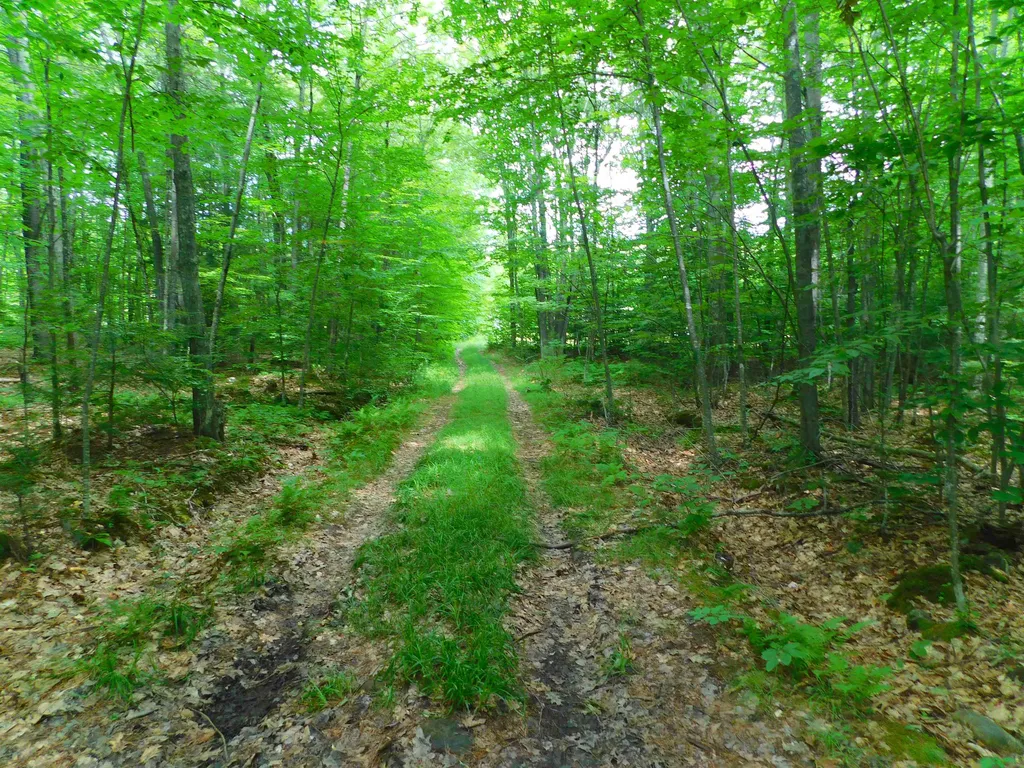 404 Shapleigh Road Lebanon ME 04027