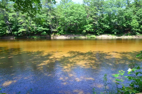 78 Saco Pines Drive Conway NH 03813