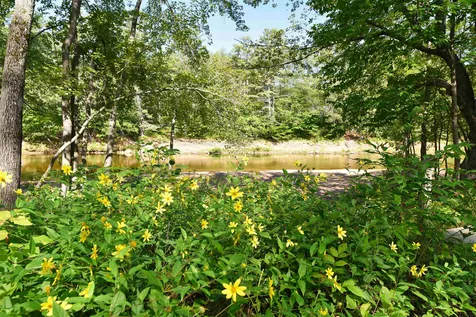 78 Saco Pines Drive Conway NH 03813