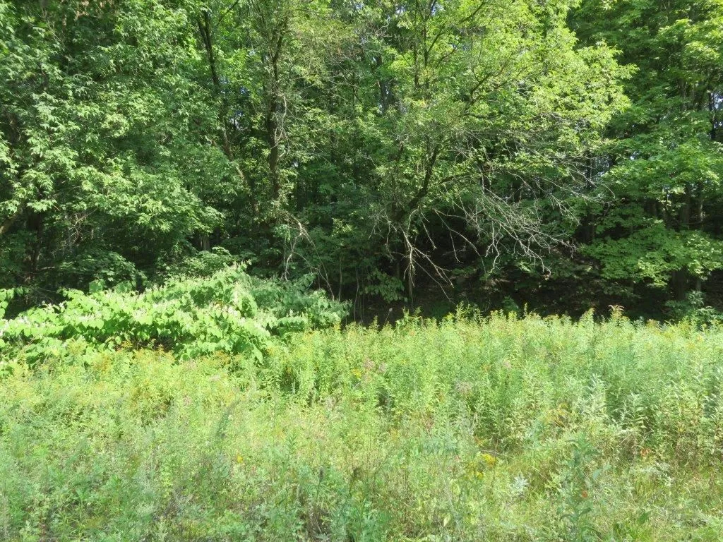 77 South Main Street Lebanon NH 03784