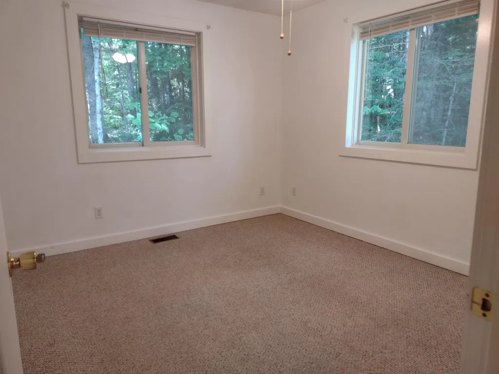 141 Wild Meadow Road Danbury NH 03230