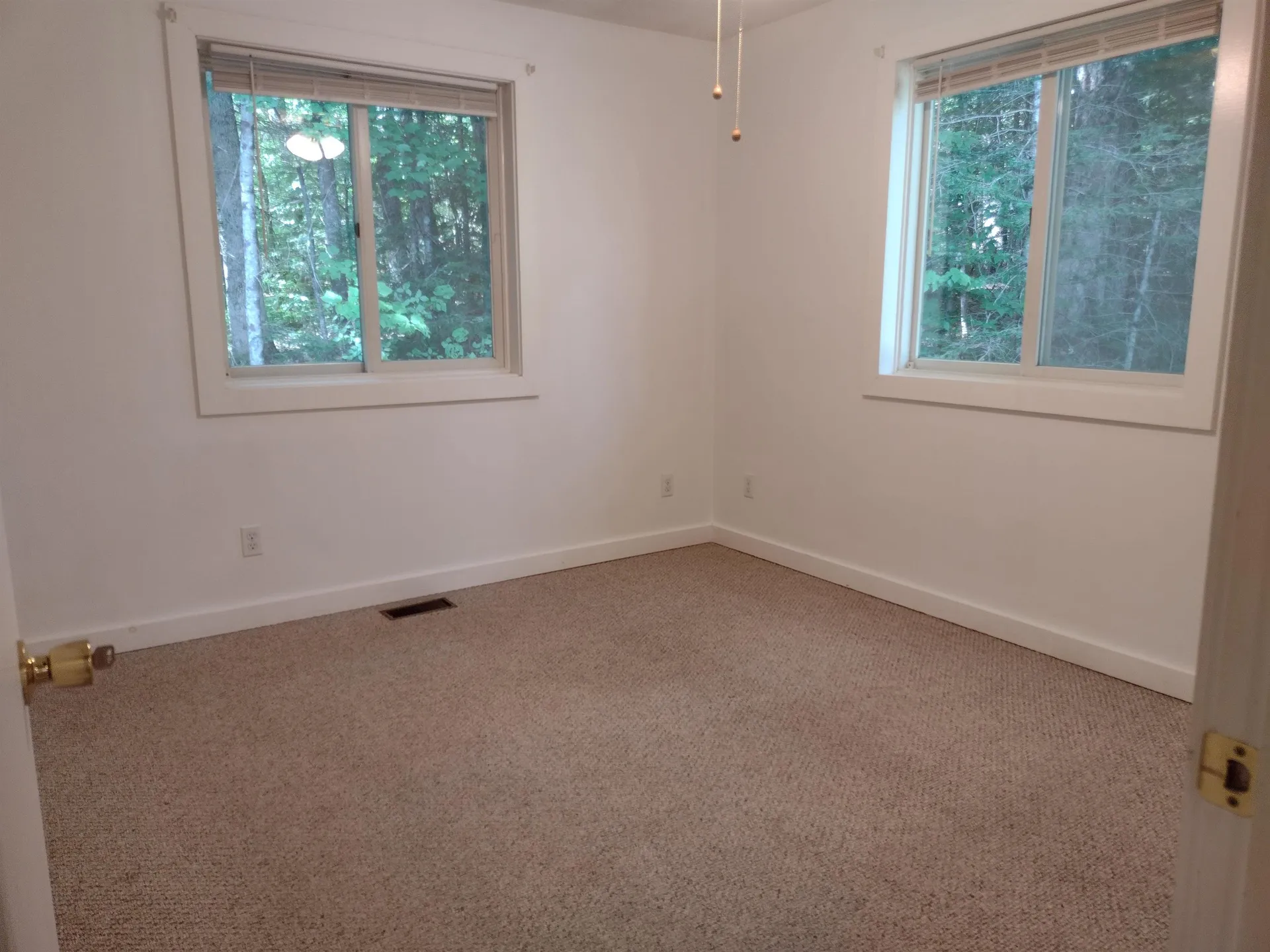 141 Wild Meadow Road Danbury NH 03230