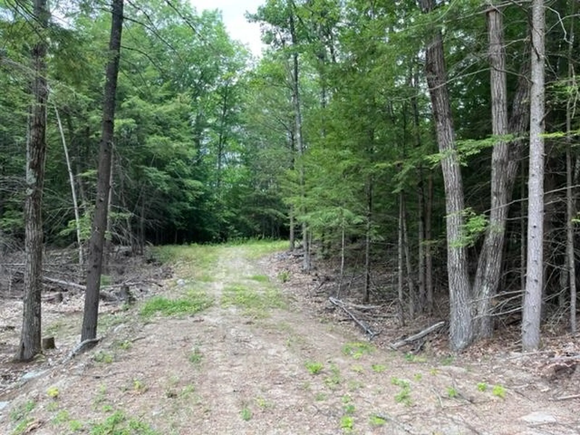 585 Grafton Turnpike Road Canaan NH 03741