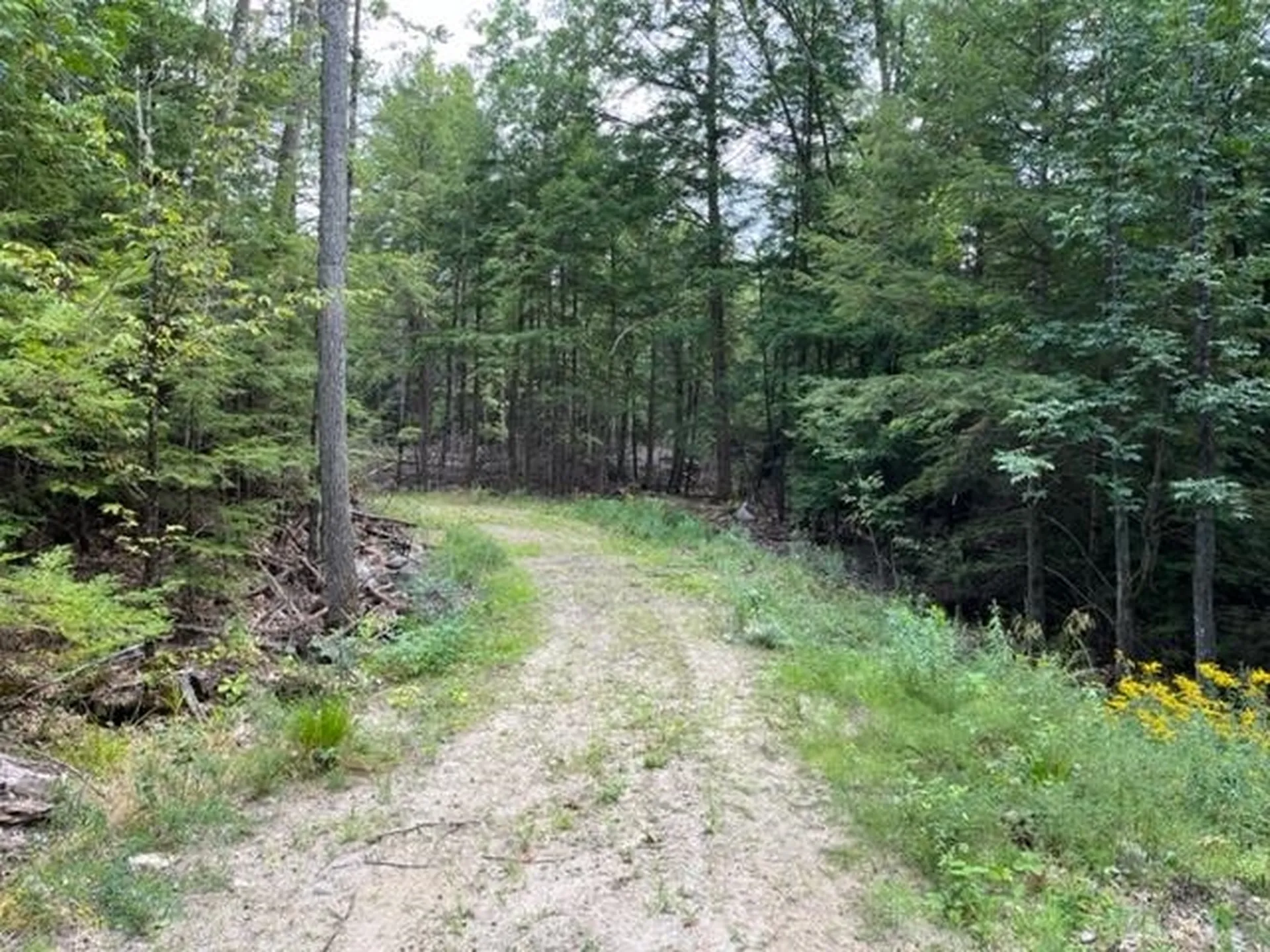 585 Grafton Turnpike Road Canaan NH 03741