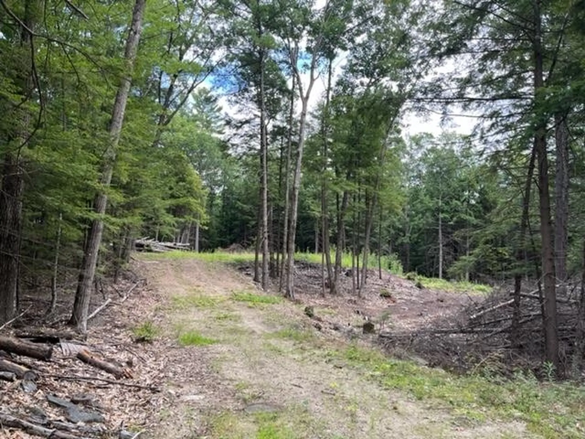 585 Grafton Turnpike Road Canaan NH 03741
