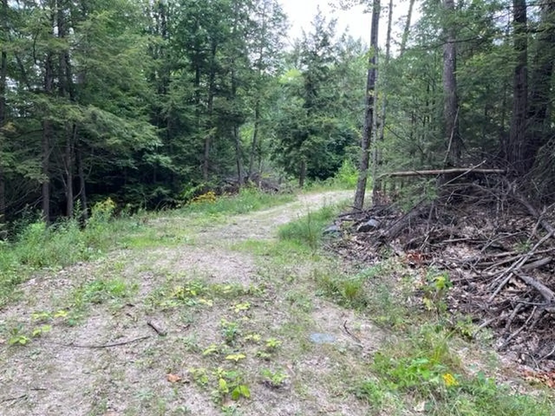 585 Grafton Turnpike Road Canaan NH 03741