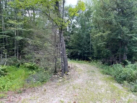 585 Grafton Turnpike Road Canaan NH 03741