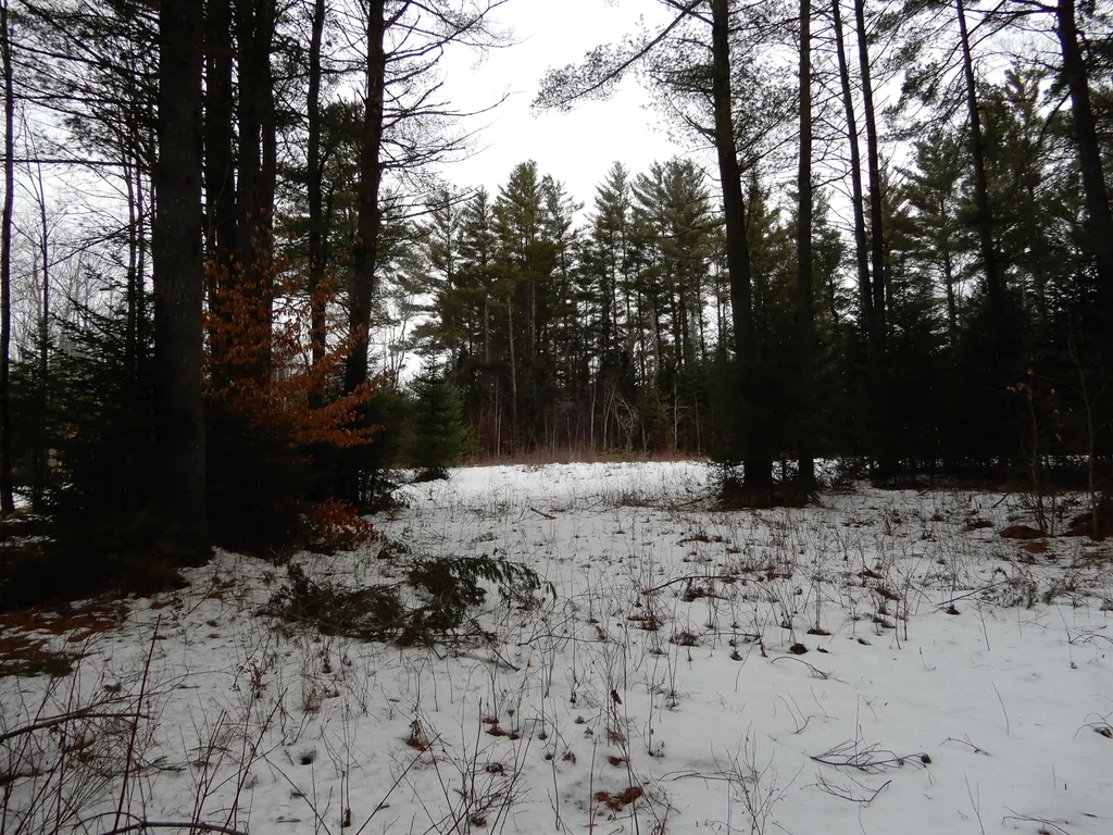 38 Cider Mill Road Canaan NH 03741