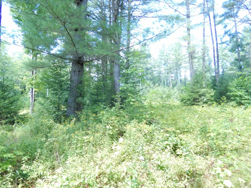 38 Cider Mill Road Canaan NH 03741