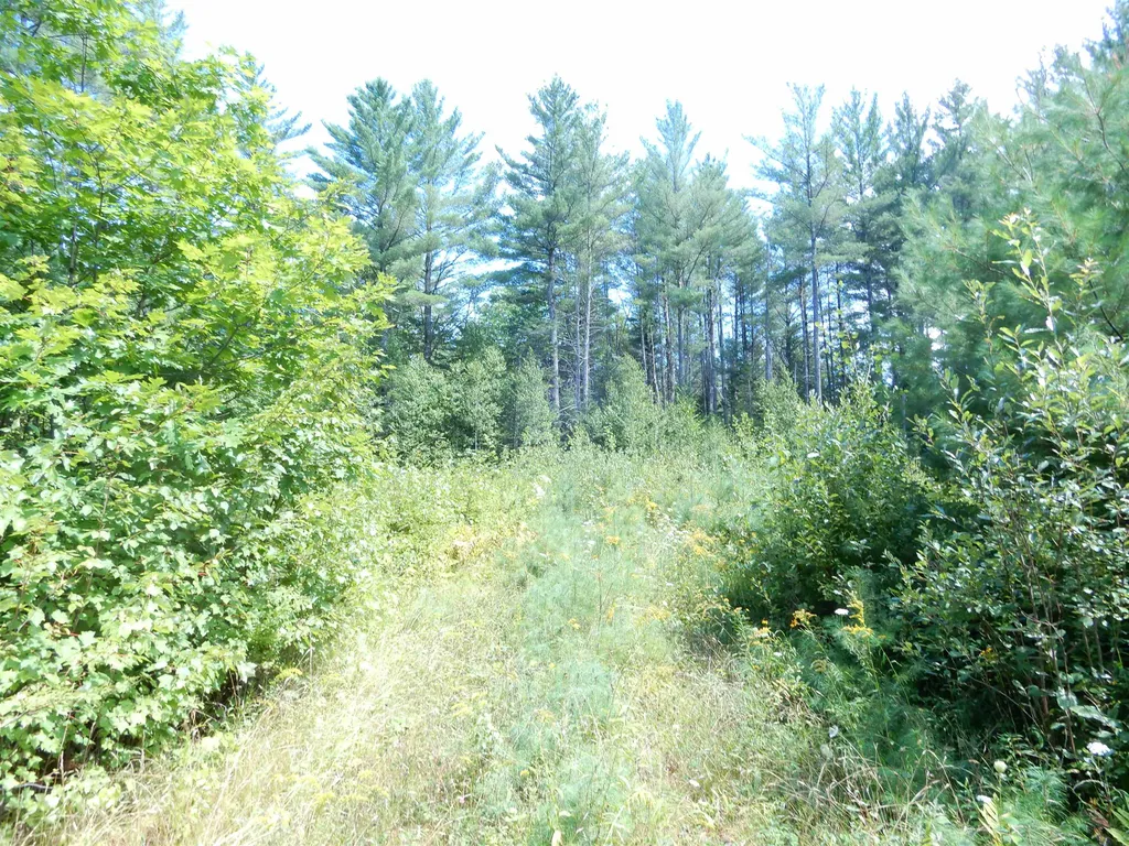 38 Cider Mill Road Canaan NH 03741