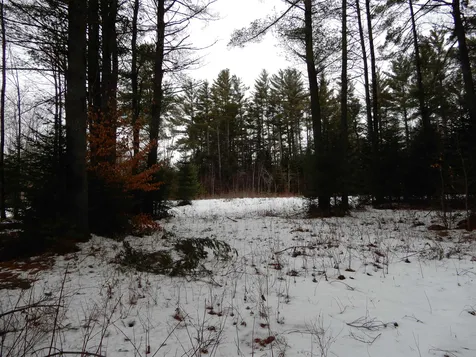 38 Cider Mill Road Canaan NH 03741