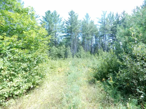 38 Cider Mill Road Canaan NH 03741