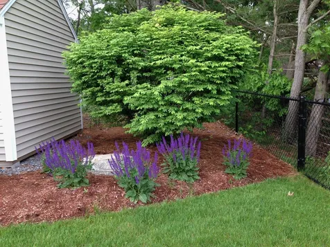 21 Settlement Way Nashua NH 03062
