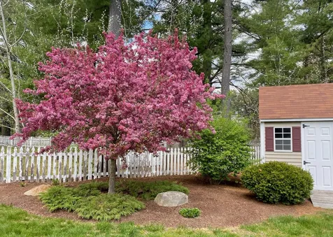 21 Settlement Way Nashua NH 03062