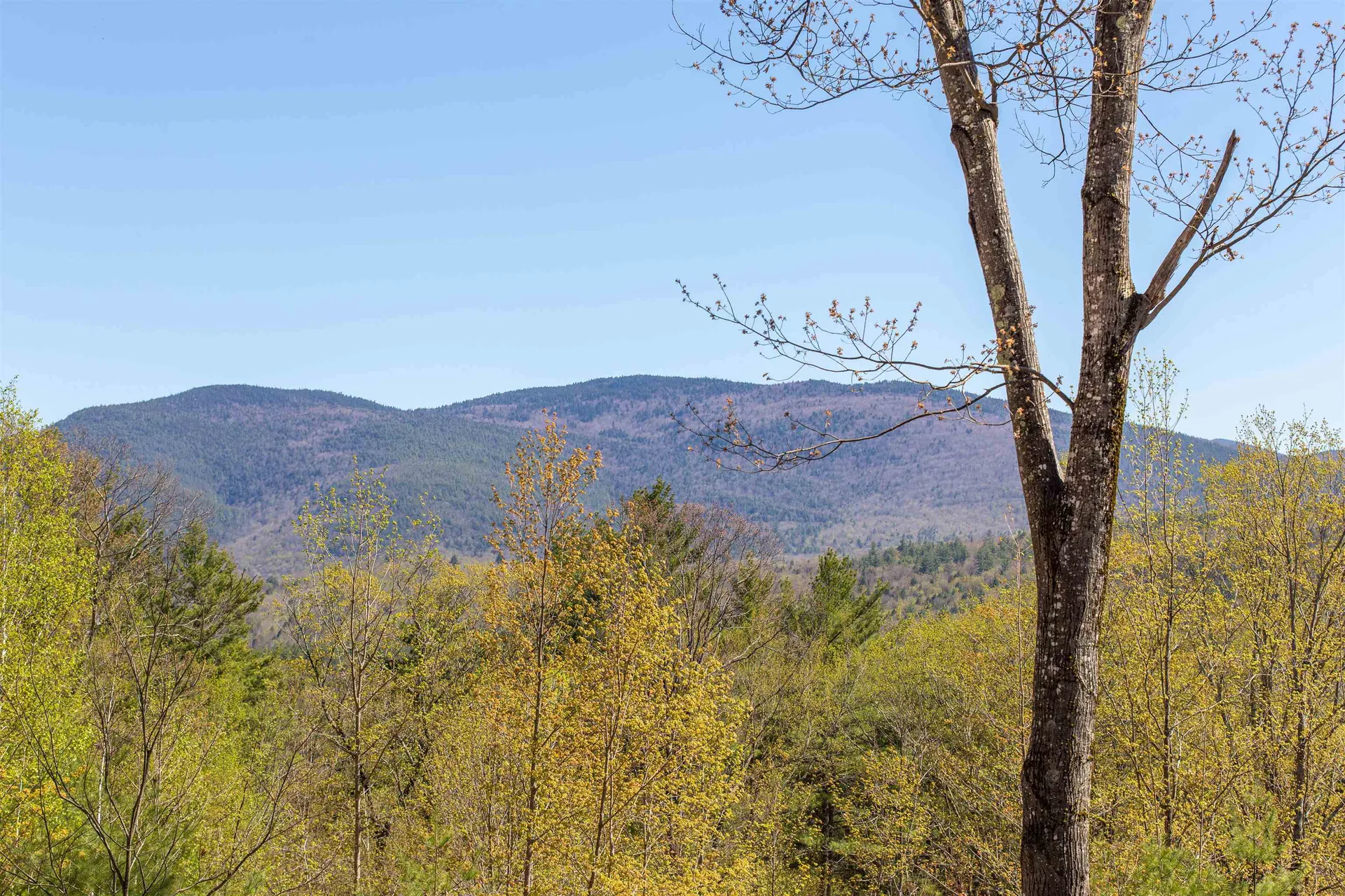 762 Cleveland Hill Road Tamworth NH 03886